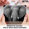 Better Office Products All Occasion Greeting Cards & Envs, 4inx6in Black & White Wild Animal Portraits, Blank Inside, 50PK 64640 - alternate 5